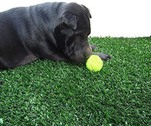 Load image into Gallery viewer, Retail Turf Solutions EnvyPet Green Premium Pet Turf Mat 4' x 4'