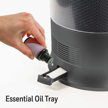 Load image into Gallery viewer, Honeywell Designer Series Cool Mist Humidifier, Black