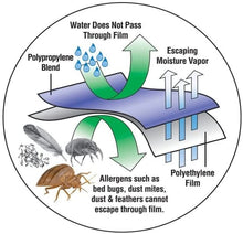 Load image into Gallery viewer, Bed Bug Blocker Hypoallergenic All in One Breathable