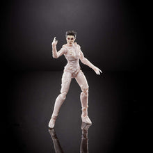 Load image into Gallery viewer, Hasbro Ghostbusters Plasma Series Gozer Toy 6-Inch-Scale Collectible Classic 1984 Ghostbusters Action Figure, Toys for Kids Ages 4 and Up