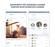 Load image into Gallery viewer, Poof Bean Pet Activity Tracker