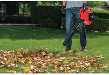 Load image into Gallery viewer, Troy-Bilt 41AS99BS766 TB430 25cc Gas Leaf Blower