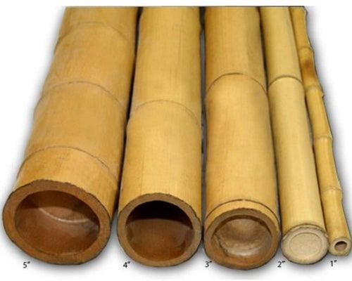 Backyard X-Scapes BAMA-BP01 Bamboo Pole, 25 Pack