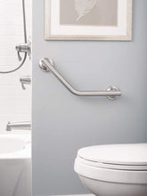 Load image into Gallery viewer, Moen R8716D1GBN Home Care 16-Inch Angled Grab Bar, Brushed Nickel