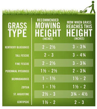 Load image into Gallery viewer, Pennington Annual Ryegrass Retail Bag to Overseed Warm Season Grasses, 25 lb