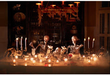 Load image into Gallery viewer, 5 ft. Poseable Skeleton with LED Illumination