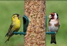 Load image into Gallery viewer, Lyric Bird Seed Fine Tunes No Waste Mix - 15 lb. bag