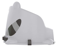 Load image into Gallery viewer, Fisher-Price Hungry Raccoon Booster Seat, Portable Toddler Chair
