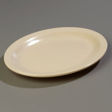 Load image into Gallery viewer, Carlisle Kingline Melamine Dinner Plates