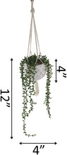 Load image into Gallery viewer, Flora Bunda Mid Century Artificial Plants 4.5&quot; Artificial Succulent Garden Macrame Hanging Ceramic Planter