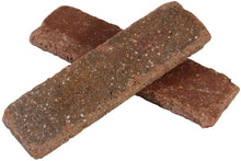 Load image into Gallery viewer, Single Thin Bricks - Flats for Brickwebb (Box of 50) - Columbia Street