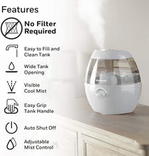 Load image into Gallery viewer, Honeywell Mistmate Cool Mist Humidifier