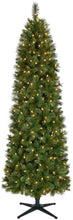 Load image into Gallery viewer, Home Accents Holiday 7 ft Wesley Long Needle Pine Pencil LED Pre-Lit Artificial Christmas Tree with 300 Warm White Lights