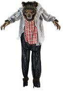 Load image into Gallery viewer, Haunted Hill Farm HHWOLF-1FLSA Life-Size Animatronic Werewolf, Indoor/Outdoor Halloween Decoration, Multi