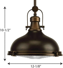 Load image into Gallery viewer, Progress Lighting Fresnel Lens 1 Light LED Pendant with AC Module
