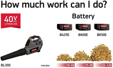 Load image into Gallery viewer, Oregon Cordless 40V Max BL300 Handheld Blower Kit with 6.0 Ah Battery Pack and C750 Rapid Charger