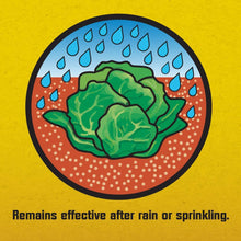 Load image into Gallery viewer, Corry&#39;s 100511427 Slug and Snail Killer, 1.75 lb