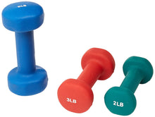 Load image into Gallery viewer, Sunny Neoprene Dumbbell Set with case (2-5 Pounds)