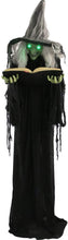 Load image into Gallery viewer, Haunted Hill Farm HHWITCH-9FLS Life-Size Animatronic Witch, Indoor/Outdoor Halloween Decoration, Multi