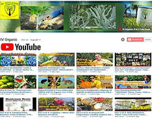 Load image into Gallery viewer, IV Organic 3-in-1 Plant Guard, 1 Pint (White)