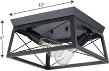 Load image into Gallery viewer, Progress Lighting P350039-031 Briarwood Close-to-Ceiling