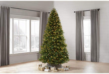 Load image into Gallery viewer, Home Accents Holiday 7.5 ft. Ellis Black Spruce LED Pre-Lit Tree with 500 Color Changing Lights