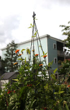 Load image into Gallery viewer, Achla Designs Fleur-De-Lis GardenTrellis, 58-in