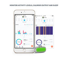 Load image into Gallery viewer, Poof Bean Pet Activity Tracker