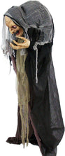 Load image into Gallery viewer, Haunted Hill Farm HHWITCH-13FLSA Life Size Animatronic Witch, Indoor/Outdoor Halloween Decoration, Multi
