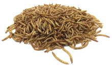 Load image into Gallery viewer, Pecking Order Dried Mealworms, 10 oz