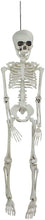 Load image into Gallery viewer, Northlight Halloween Decorations, White