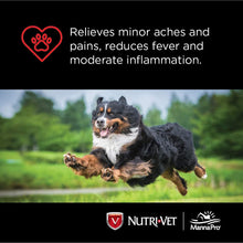Load image into Gallery viewer, Nutri-Vet Asprin Chewables for Large Dogs | Relieves Pain and Inflamation | 75 Count