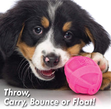 Load image into Gallery viewer, Hartz DuraPlay Bacon Scented Dog Toys