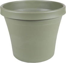 Load image into Gallery viewer, Bloem Terra Pot Planter - 14&quot;