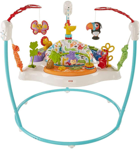 Fisher-Price Color Climbers Jumperoo