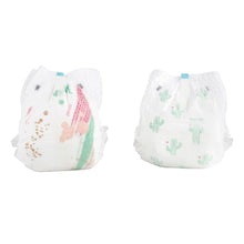 Load image into Gallery viewer, Parasol Natural Baby Diaper Pants - Chlorine Free, Chemical Free, Hypoallergenic, Eco-friendly - Desert Spring Collection - Size 4-5, 2 Packs of 24, 48 Count