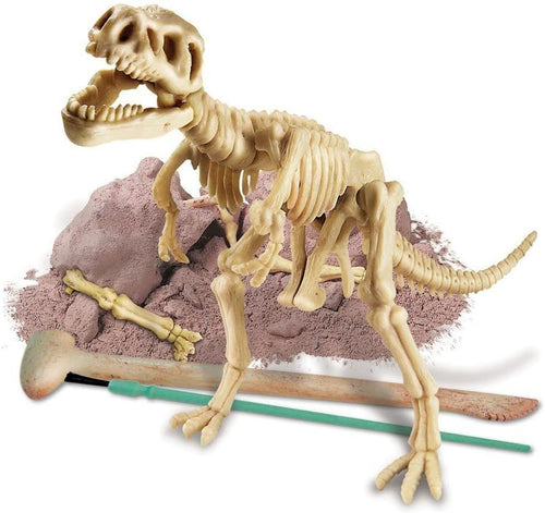 Dig a Dinosaur Skeleton: T-Rex Kit