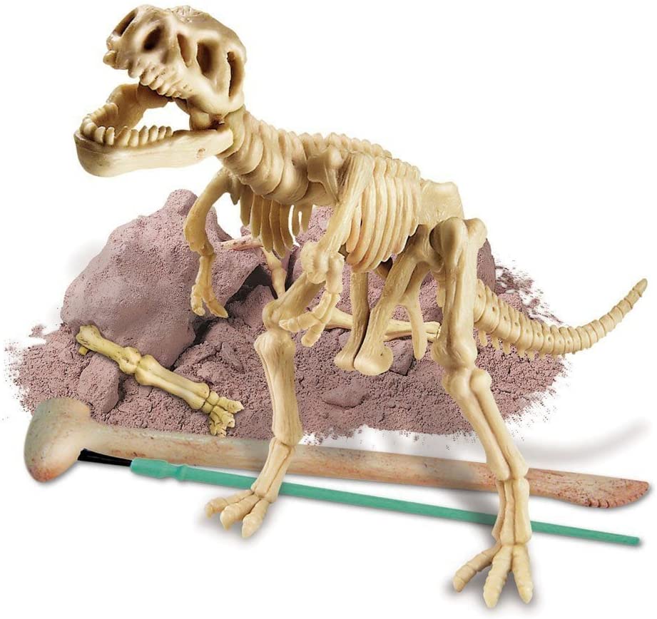 Dig a Dinosaur Skeleton: T-Rex Kit