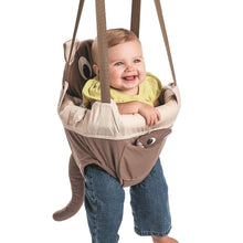 Load image into Gallery viewer, Evenflo ExerSaucer Door Jumper, Roo