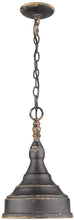 Load image into Gallery viewer, Golden Lighting 0806-S ABI Keating Mini Pendant, Black