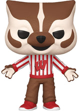 Load image into Gallery viewer, Bucky Badger [UW]: Funk o Pop! College Vinyl Figure Bundle with 1 Compatible &#39;ToysDiva&#39; Graphic Protector (009 - 44422 - B)
