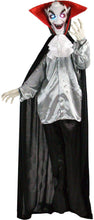 Load image into Gallery viewer, Haunted Hill Farm HHFORTTLR-1FLSA Life-Size Animatronic Witch, Color 1