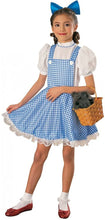 Load image into Gallery viewer, Dorothy Deluxe Small Costume