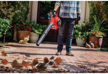Load image into Gallery viewer, Troy-Bilt 41AS99BS766 TB430 25cc Gas Leaf Blower