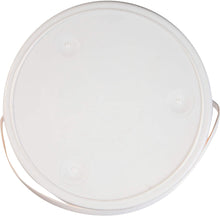 Load image into Gallery viewer, Arm &amp; Hammer Clear Balance Pool Maintenance Tablets, 16 Count, Net Wt. 7LB (3.18kg)