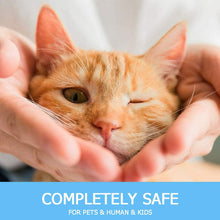 Load image into Gallery viewer, Halo Holistic Grain Free Natural Dry Cat Food for Indoor Adult Cats