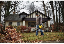 Load image into Gallery viewer, DEWALT DCBL720P1 20V MAX 5.0 Ah Lithium Ion XR Brushless Blower