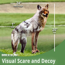 Load image into Gallery viewer, Bird-X Coyote Flat Decoy