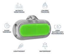 Load image into Gallery viewer, Poof Bean Pet Activity Tracker