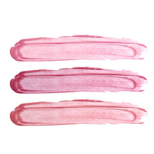 Load image into Gallery viewer, Babo Botanicals Lip Tint Conditioner SPF 15 Pretty &amp; Protective Gift Set, Pack of 3, 0.15 Ounce